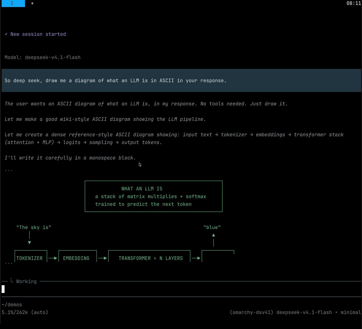 A terminal coding-agent session with the model deepseek-v4.1-flash. The user asks the model to draw an ASCII diagram of an LLM; the reasoning trace and the beginning of a box diagram with Tokenizer, Embedding and Transformer x N layers are visible. The status line reads (omarchy-dsv41) deepseek-v4.1-flash and 5.1%/262k context.