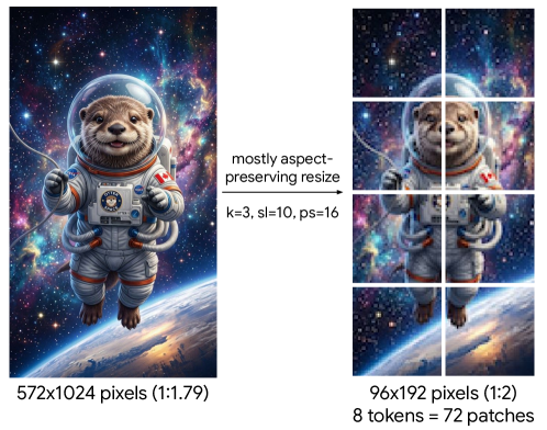 A 572x1024 portrait image of an astronaut otter is resized by a mostly aspect-ratio-preserving algorithm (parameters k=3, sl=10, ps=16) into a 96x192 grid, which becomes 8 tokens of 72 patches each.