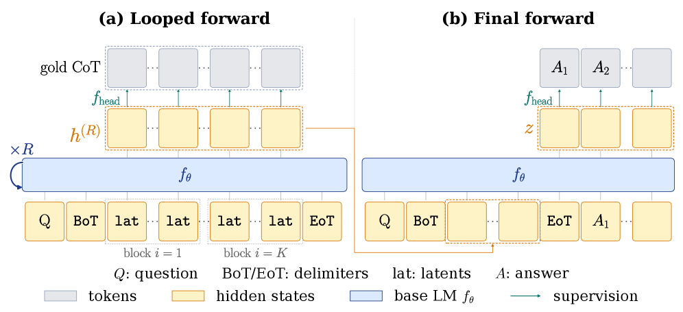 LOTUS architecture, two panels. (a) Looped forward: the input row is Q, BoT, a run of lat tokens grouped into block 1 through block K, then EoT. A single base LM f_theta box is applied with a curved loop arrow labelled ×R, producing post-loop hidden states h(R), one per latent position, which are read through f_head up to a row of gold CoT token boxes. (b) Final forward: the post-loop latents are inserted back into the sequence and one more pass through f_theta produces answer hidden states z, read through f_head to answer tokens A1, A2, supervised by L_ans.