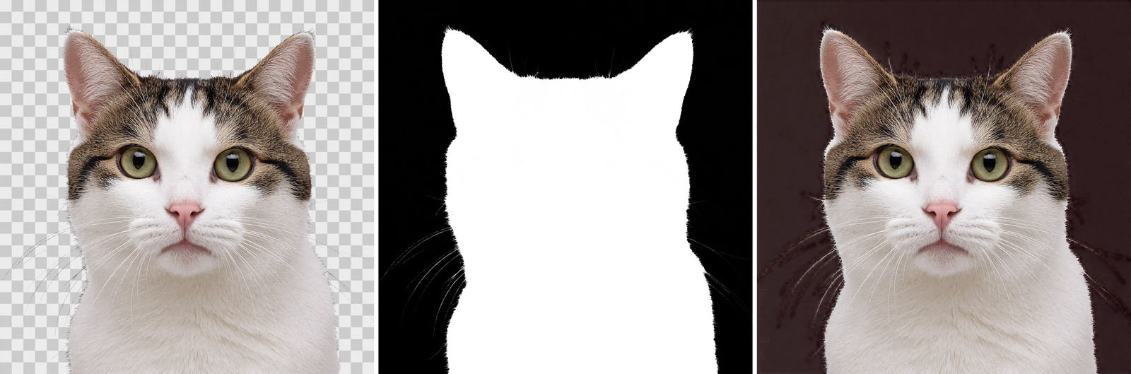 Three panels of the same 2048-pixel cat image. Left: composited onto a grey and white checkerboard, showing a clean cutout with whiskers extending past the fur. Middle: the alpha channel alone, an almost binary white silhouette on black, with the whiskers as thin white lines and a serrated edge of opaque fur tufts along the top of the head. Right: the RGB channels with the alpha discarded, showing the cat on a dark maroon field.