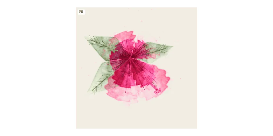 A slower animated sequence of five generated watercolours: a magenta hibiscus with green leaves, a pale pink bloom on a thin stem, a small faint flower on cream paper, and a dense magenta blossom with dark radiating stamens.